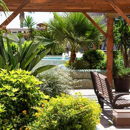 Nuevo Mexico V 2 קלפה